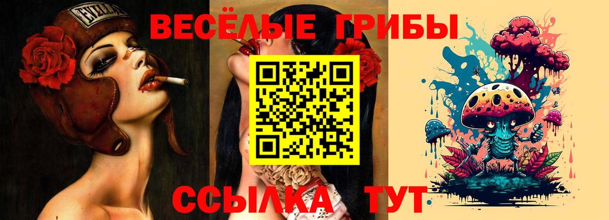 Псилоцибиновые грибы мухоморы  Вход с VPN  Лесозаводск 