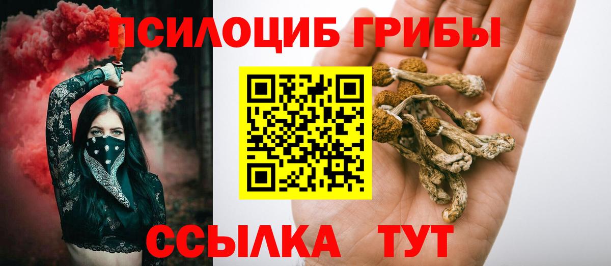 Псилоцибиновые грибы Cubensis Лесозаводск